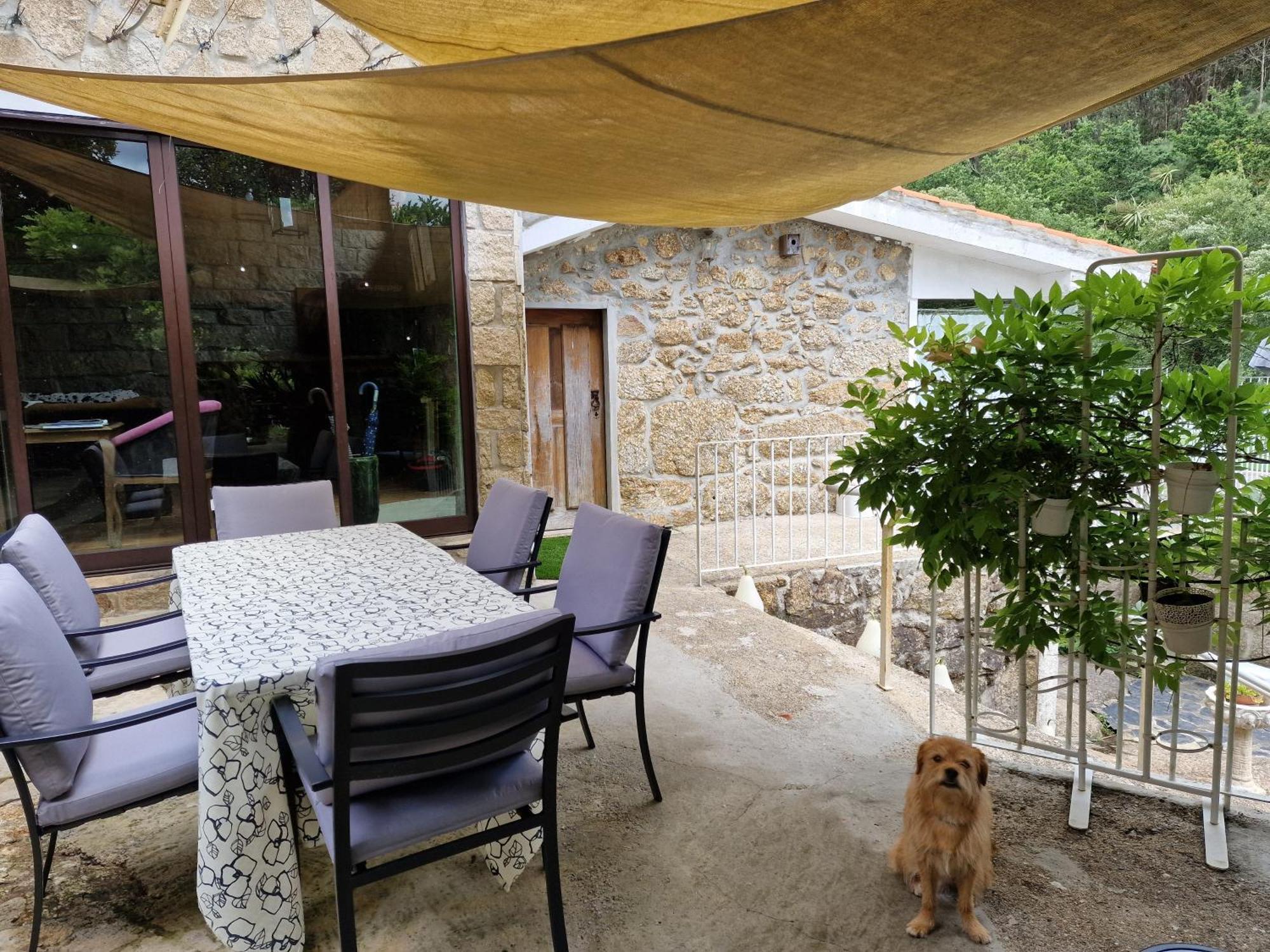 Dream Corner By Waterfalls, 20 Min To Oporto, By Porto With Love Lda Parada  Eksteriør billede