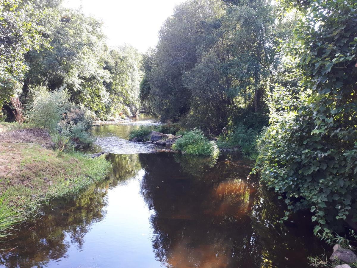 Dream Corner By Waterfalls, 20 Min To Oporto, By Porto With Love Lda Parada  Eksteriør billede