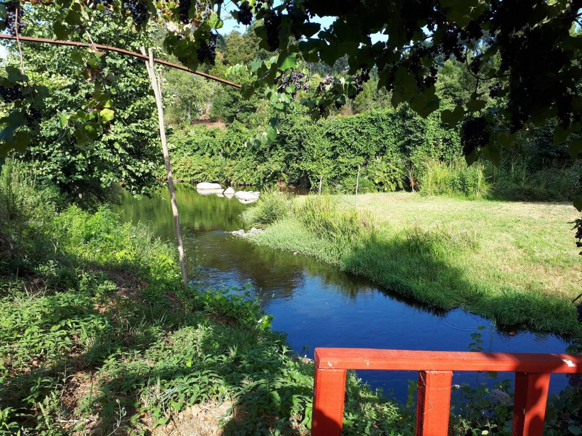 Dream Corner By Waterfalls, 20 Min To Oporto, By Porto With Love Lda Parada  Eksteriør billede